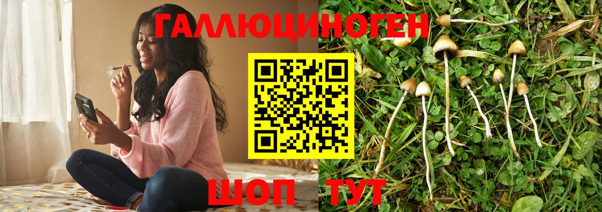 Псилоцибиновые грибы MAGIC MUSHROOMS  Вход с VPN  Старый Оскол 