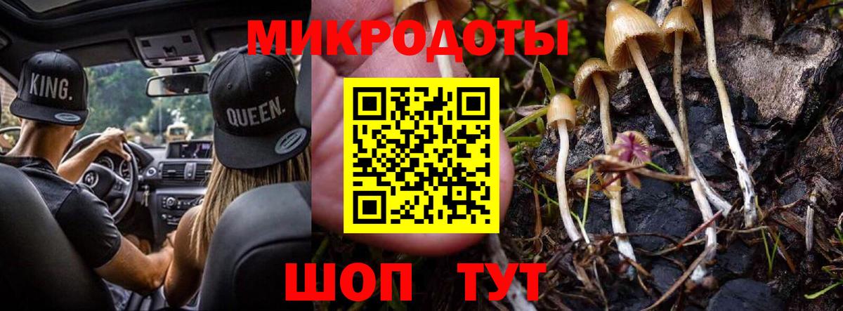 Галлюциногенные грибы прущие грибы Старый Оскол